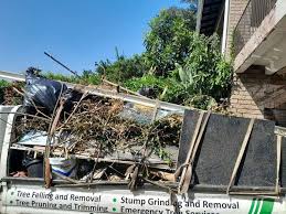 Best Residential Junk Removal  in Fortville, IN